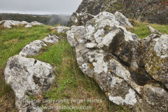 Cheddar Gorge, Cheddar, Somerset, Great Britain.