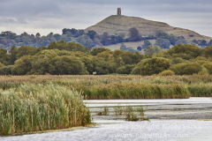 Ham Wall Nature Reserve, near Glastonbury, Somerset, Great Britain.