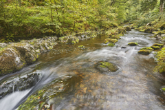 Watersmeet, near Lynmouth, Exmoor National Park, Devon, Great Britain.
