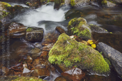Watersmeet, near Lynmouth, Exmoor National Park, Devon, Great Britain.