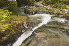 Watersmeet, near Lynmouth, Exmoor National Park, Devon, Great Britain.