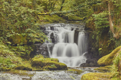 Watersmeet, near Lynmouth, Exmoor National Park, Devon, Great Britain.