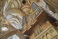 The organ and ceiling in Wells Cathedral, Wells, Somerset, Great Britain.