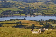 A view of the Teign estuary from Higher Radway Farm, Bishopsteignton, Teignmouth, Devon, Great Britain.