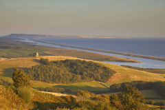 Abbotsbury20