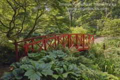 AbbotsburyGarden15