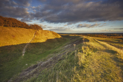 BadburyRings12