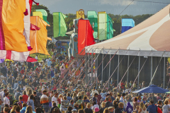 Bestival43