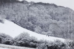 Longburton05