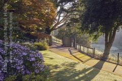 The garden at Cricket St Thomas, near Chard, Somerset, Great Britain.