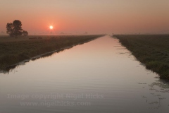 A misty sunrise view of the King's Sedgemoor Drain, in the Somerset Levels, nr Langport, Somerset, Great Britain.