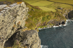 Cliffs at Willapark, Boscastle, Cornwall, Great Britain.