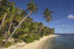 The beach at Cloud 9, Siargao Island, Mindanao, Philippines.