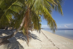 The beach at San Juan on Siquijor, Philippines.