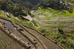 Rice terraces at Batad, nr Banaue, Luzon, Philippines.