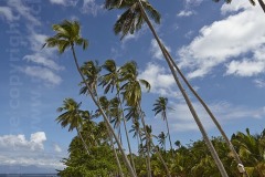Paliton Beach, nr San Juan, Siquijor, Philippines.