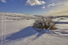 A snowbound moorland scee, near Warren House, Dartmoor National Park, Devon, Great Britain.