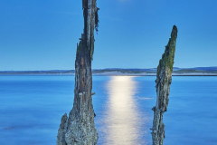 Holy Island, Lindisfarne, Northumberland, Great Britain.