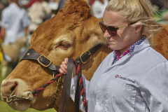 Camelford Agricultural Show, Camelford, Cornwall, Great Britain.