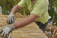 Richard Pascoe thatching a cottage in Netherton, near Newton Abbot, Devon, Great Britain.