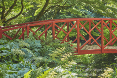 The Subtropical Garden, Abbotsbury, Dorset, Great Britain.