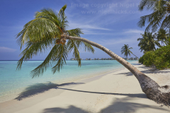 Havodda island, Gaafu Dhaalu atoll, the Maldives.