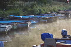 Moored boats with early morning mist, close to Ross Castle, on Lough Leane, Killarney National Park, Killarney, County Kerry, Ireland.
