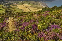 View from Bossington Hill across Porlock and Exmoor National Park, Somerset, Great Britain.