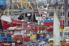 Fishing boats in Newlyn harbour, near Penzance, Cornwall, Great Britain.
